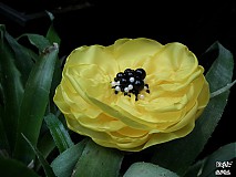 Odznaky/Brošne - Slnečný deň - 4123472_