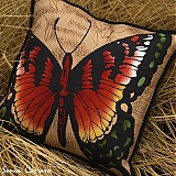  - Butterfly One - 1028908