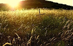  - Sunset - 1043424