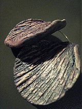  - STRUKTURY III. - 1045277