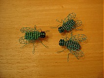  - Tyrkysový rozhovor :-) - 1057932
