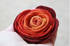  - Cinnamon - 1073888