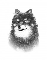  - Mako - 1087542