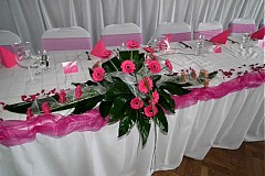  - Pohladenie gerbery - 1087702