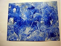  - Podmorská lúka - 112457