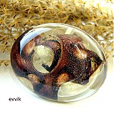 - zamrzlý lusk - 1154207