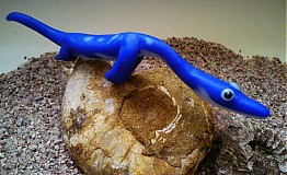  - Nothosaurus - 1204374