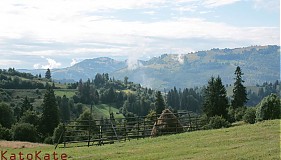  - Marmaroš - 1215909