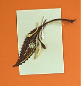 - Brošnička maličká,farebná - 1217665