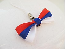 - mini slovenská - 1246054