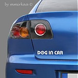 - DOG IN CAR biela farba - 1246501