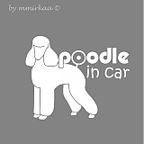 - Pudlik v aute :) biely - 1246551