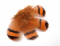  - perie z jarabice, 2 kusy - 1256603
