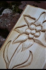  - relief edelweiss - 1278862