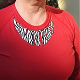  - Zebra je pruhovaný koník... (2.) - 1283135