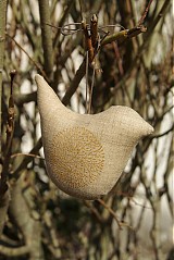  - Oiseau - 1286955