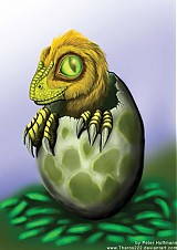  - Baby deinonychus - pohladnica - 1306111