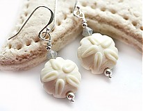  - Sand dollar  - 1306943