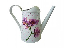 - Orchidea s bodkami - 1321723