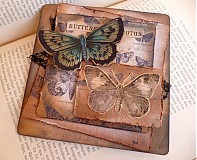  - butterflies - 1337154