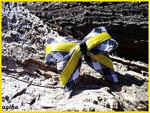  - Káro - 1343042