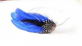 - royal blue feather - 1367512