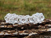  - Priehľadný daisy - 1368095