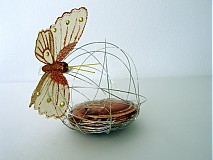 - Zemské Obežnice - 1376966