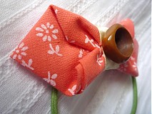 - Mašlička Apricot - 1380148