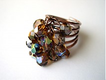 - Shiny Ring - 1394869