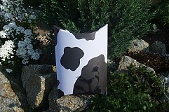 - Darčeková krabička Kravička - 1407674