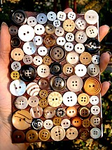  - Mr. Button - 1424030