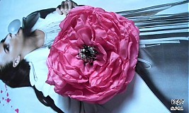  - Pink Fresh - 1427168