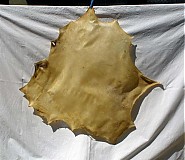 - srnčia koža 80 x 80 - 1427412