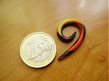 - Rozťahovák - expander 4 mm - 1429157