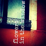 - Flowers in the window - 1443379