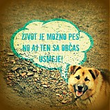  - Pesimistom :) - 1445733