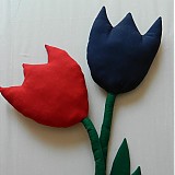  - Tulipán mäkučký - 1449500