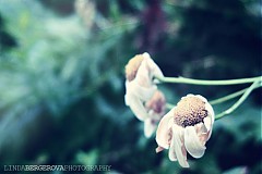 - Fotografia 10x15 ,,Čas I.