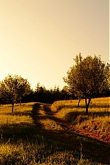  - kráčaj - 1463209