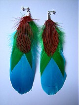  - Amazonia - 1463735
