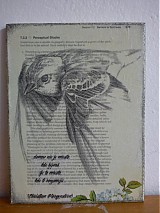  - Obrázok Domov - 1465466