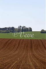  - Prírodne vlny - 1466674
