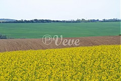  - Prelínanie - 1466694