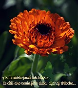 - Nálepka na hrnček s myšlienkou - 1467601
