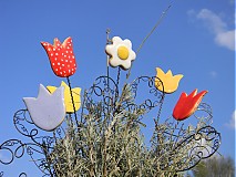  - Tulipánek - NEVADNOUCÍ - STÁLEKVETOUCÍ - 1468011