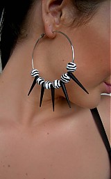  - Zebra - 1468228