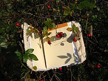 - A predsa jeseň - 184972