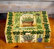 - Krabička thyme - 206068