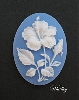 - Cameo Hibiscus 40x30 mm 1ks - 211011